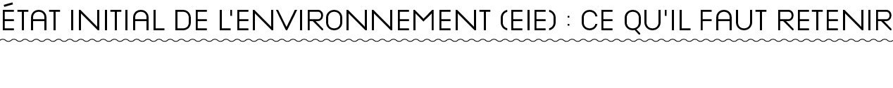  TAT INITIAL DE L’ENVIRONNEMENT (EIE) : CE QU’IL FAUT RETENIR 
