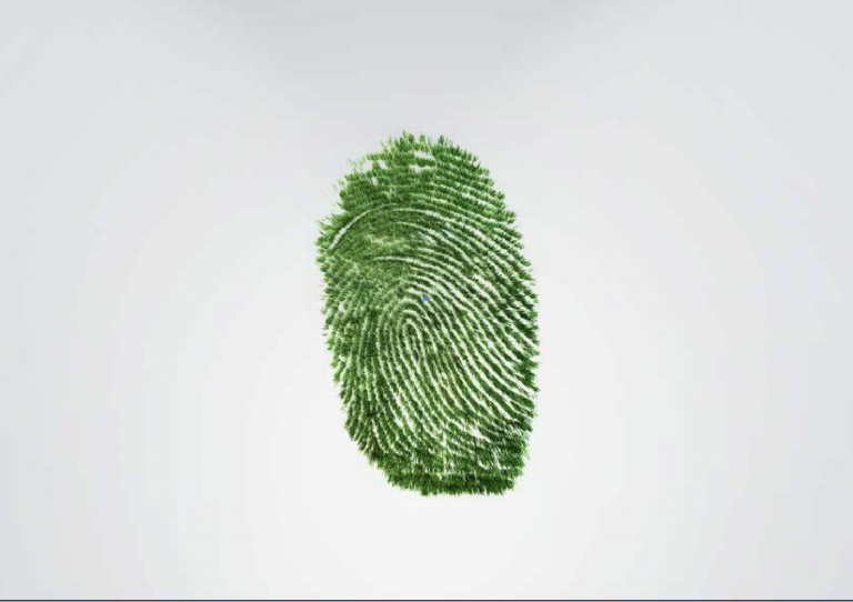 Agenda environnemental