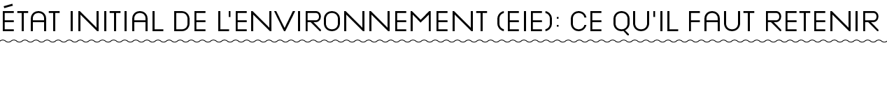 ÉTAT INITIAL DE L ENVIRONNEMENT (EIE) : CE QU IL FAUT RETENIR 