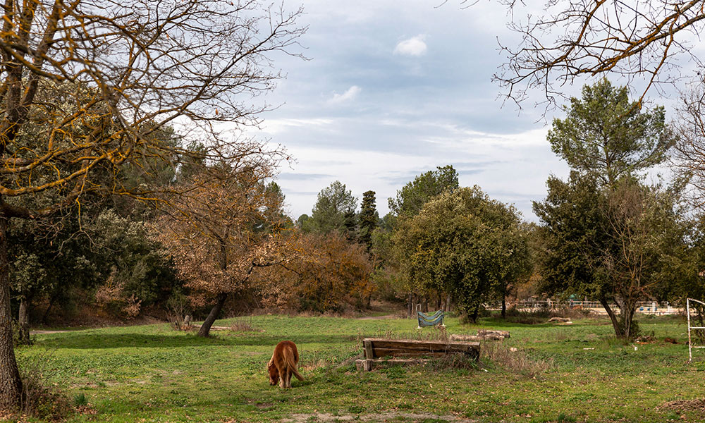 gardanne-1