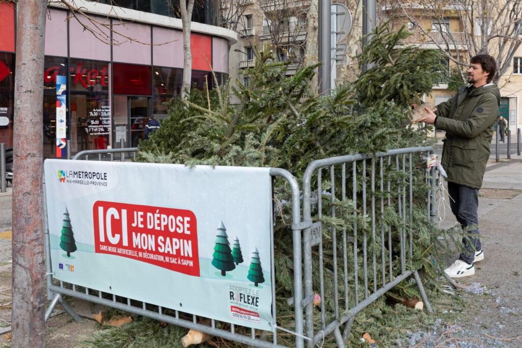 Un homme jette son sapin dans un enclos.