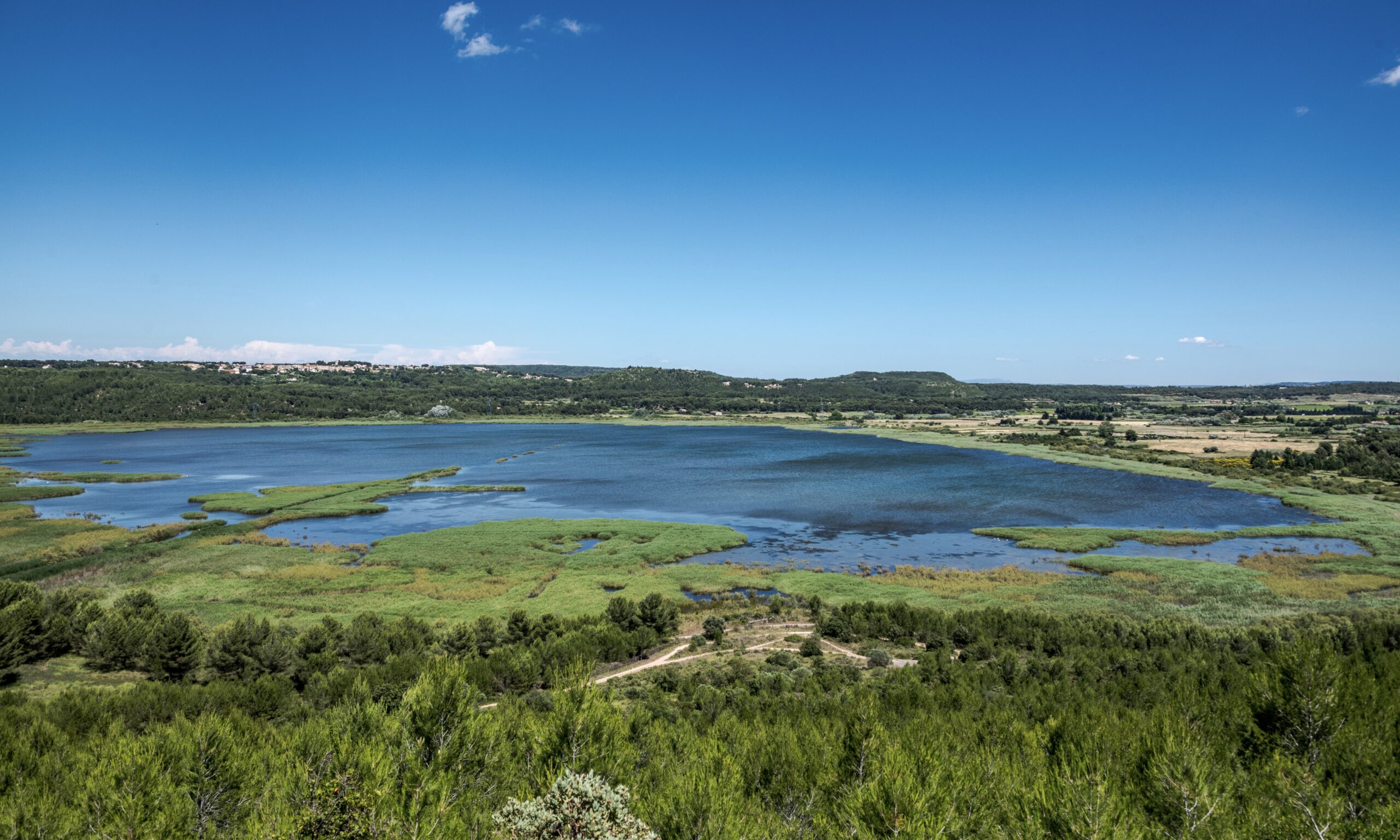 Etang du Pourra - Saint-Mitre-les-Remparts