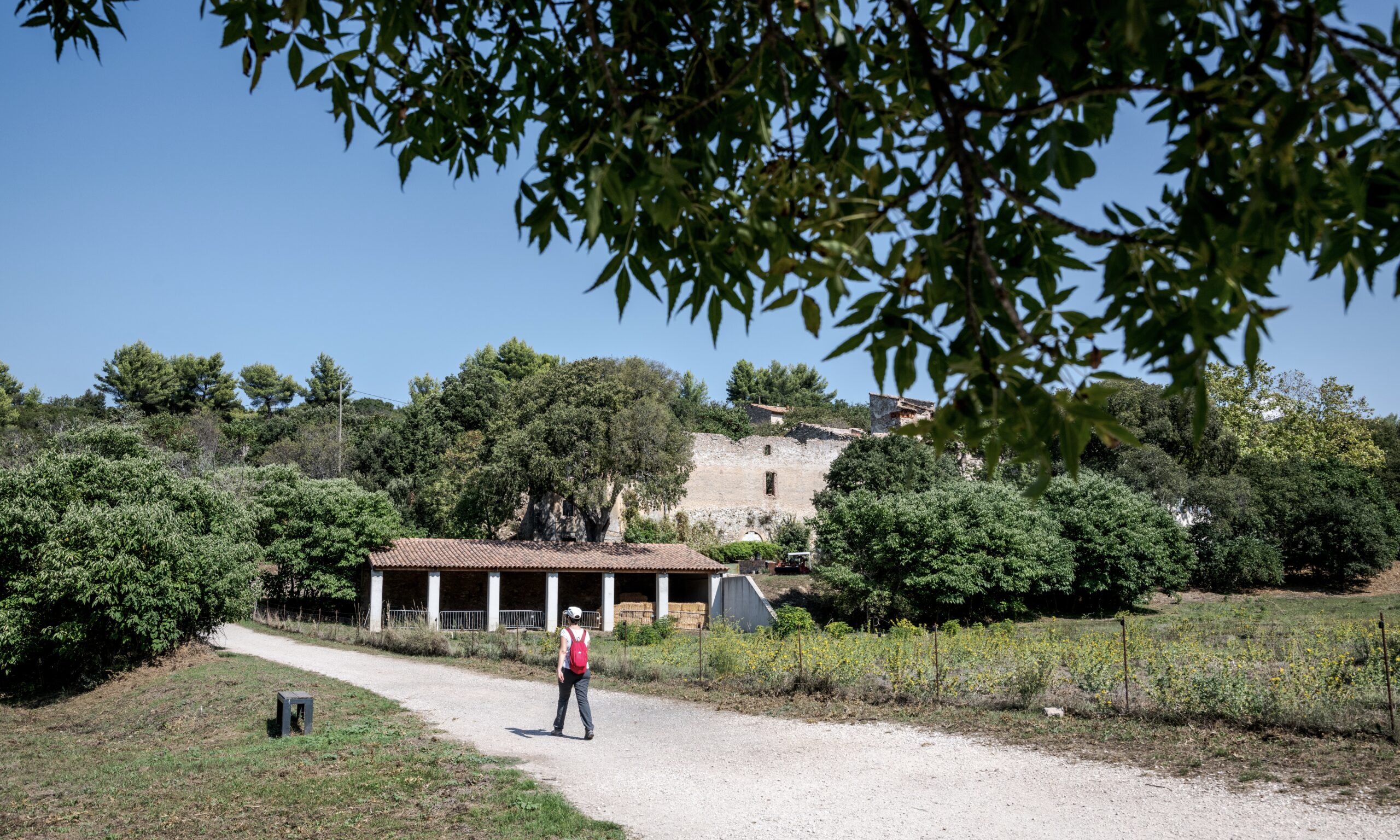 Domaine de Pichauris - Allauch