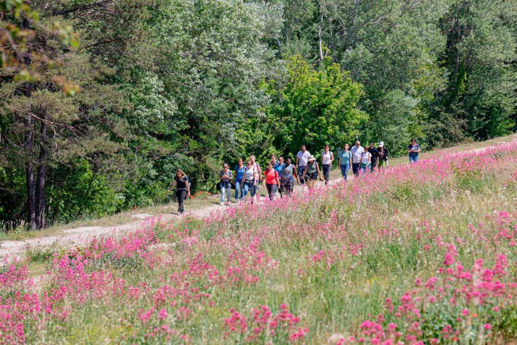 Randonnée et balade en famille au cœur du site « Natura 2 000 » du plateau de l'Arbois, Cabriès, tourisme de nature, site labellisé Natura 2 000 du sud de la France, itinérance à pied métropole Aix-Marseille-Provence