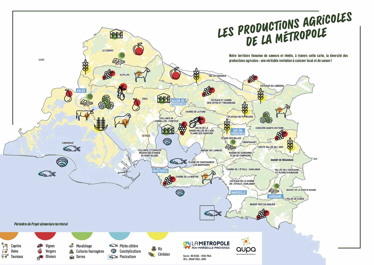 Répartition des productions agricoles sur la métropole Aix-Marseille-Provence, terre d’agriculture, gastronomie provençale et régime méditerranéen